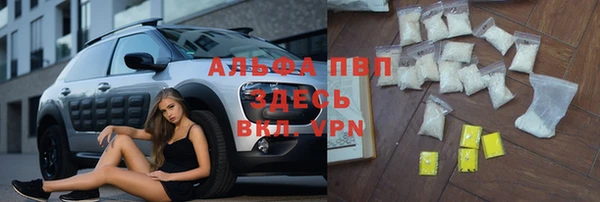 дмт Нестеровская