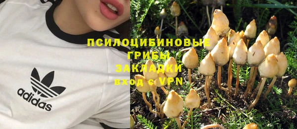 дмт Верхний Тагил