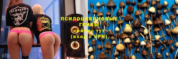 бошки Верхнеуральск